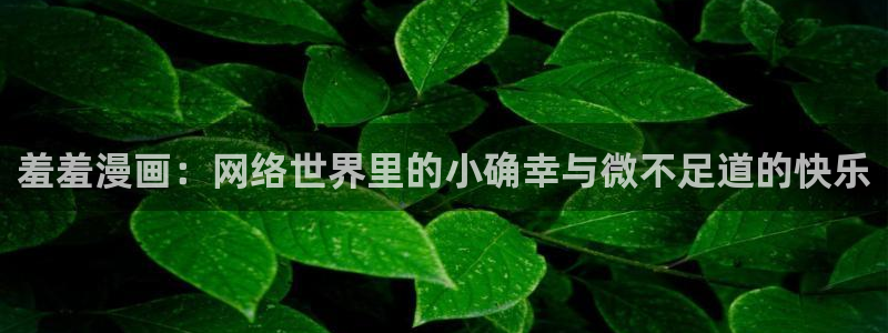 omofun宕卧