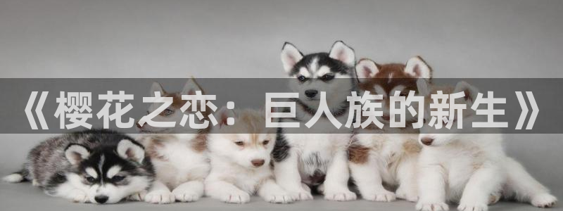 omofun官方版网页