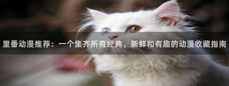 omofun动漫官方正版入口