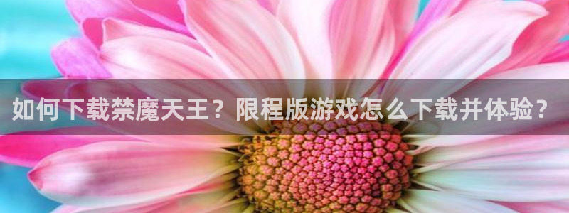www.omofun.