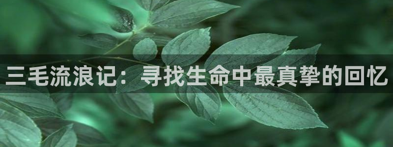 omofun动漫网官网