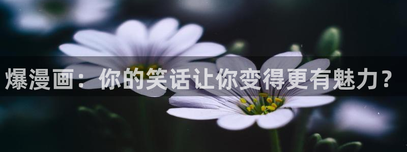 omofun动漫一个