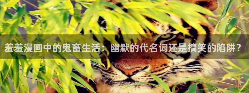 omofun动漫旧版本