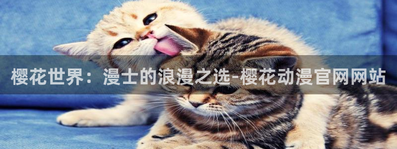 omofun最新版本