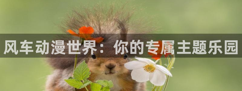 omofun全新版官网入口：风车动漫世界：你的专属主题乐园