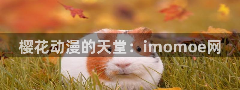 贝勒漫画入口链接：樱花动漫的天堂：imomoe网