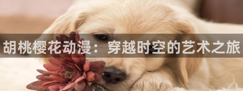 下载omofun动漫：胡桃樱花动漫：穿越时空的艺术之旅